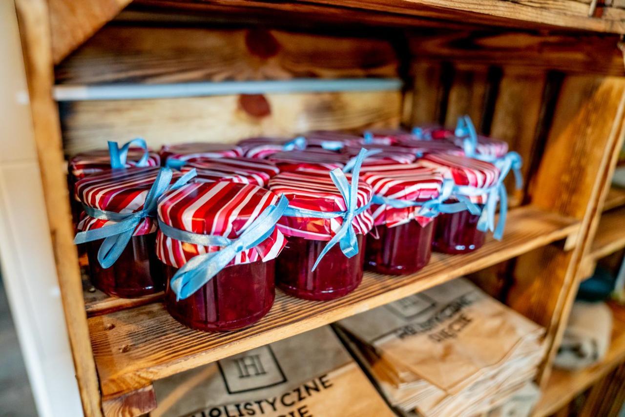 Holistyczne Ujecie Bed & Breakfast Kobyla Eksteriør bilde